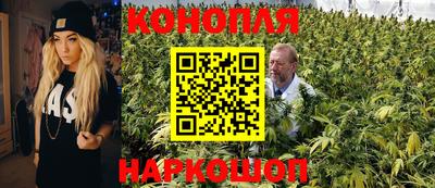 jwh Пенза