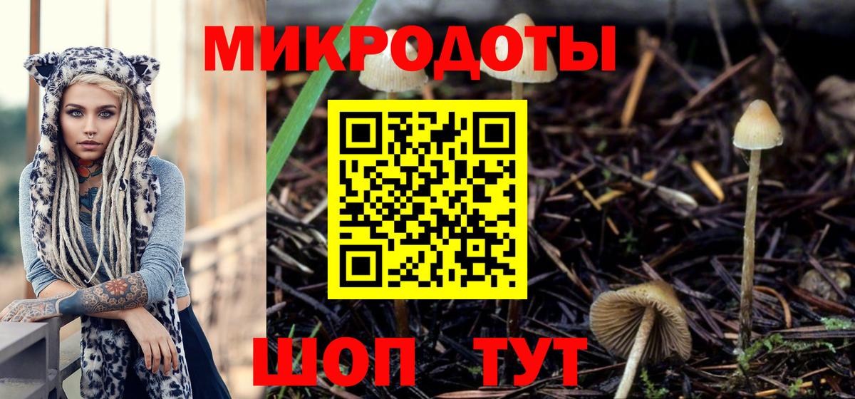 Галлюциногенные грибы Magic Shrooms Протвино