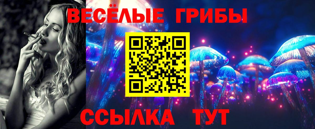 Псилоцибиновые грибы Cubensis  Вход с VPN  Протвино  Галлюциногенные грибы мицелий 